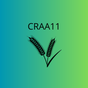 CRAA11