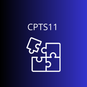 CPTS11