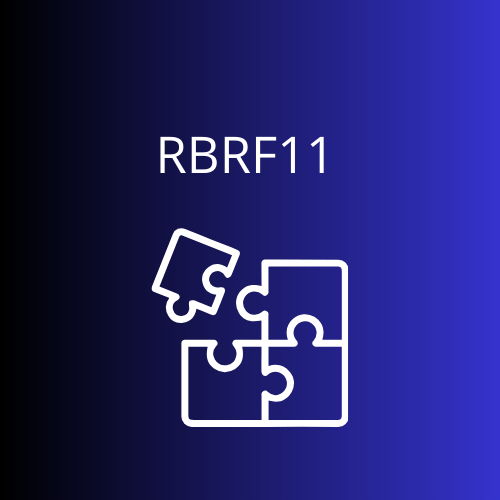 RBRF11 Registra Dividend Yield de 12,3% e Expande Investimentos em Crédito e Fundos Imobiliários