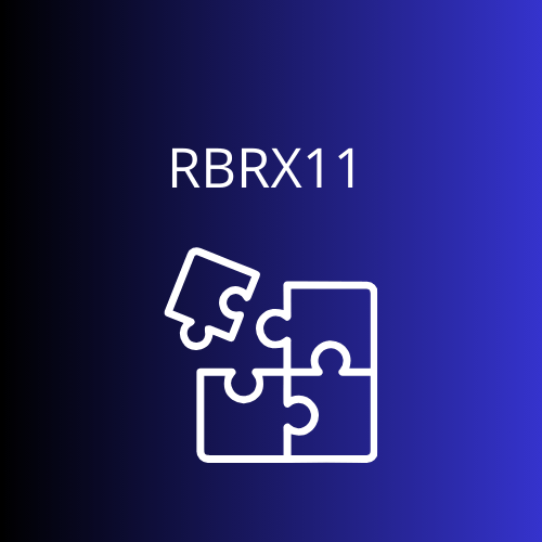 RBRX11 Registra Dividend Yield de 13,4% e Amplia Exposição a Crédito e Desenvolvimento