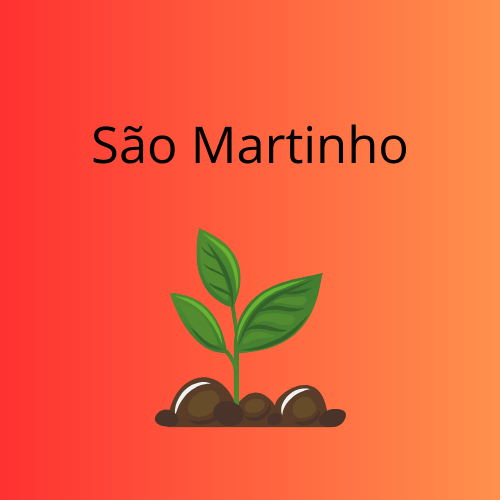 São Martinho Incêndio Atinge Unidade Iracema e Pode Reduzir Produção em Até 30% na Safra 2025/26