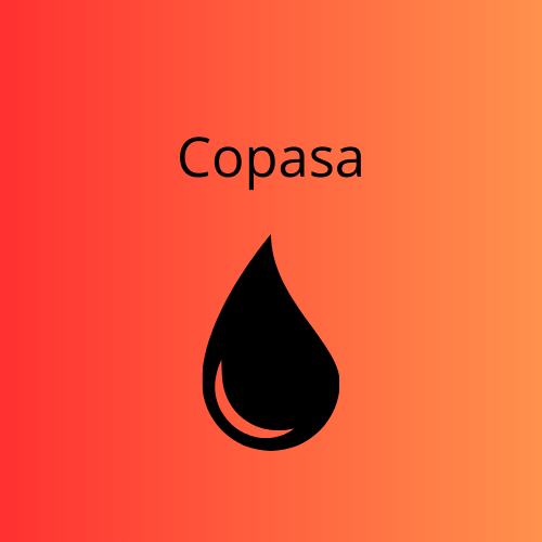 COPASA MG (CSMG3) Divulga Resultados do 4T24 e do Ano de 2024