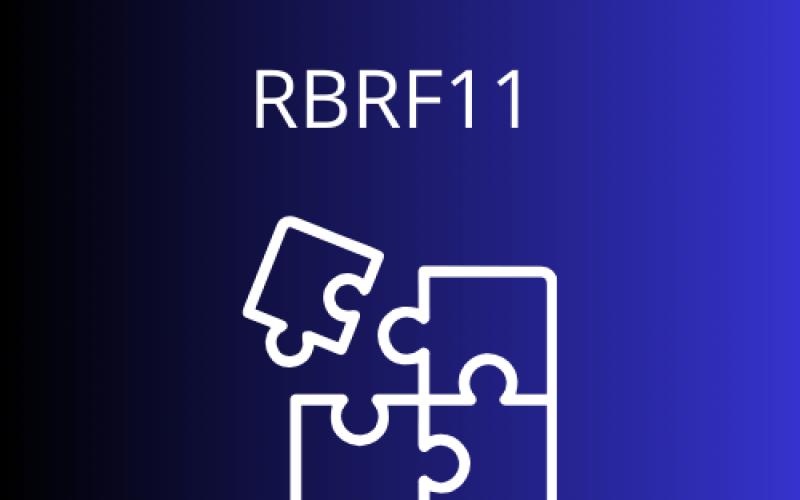 RBRF11 Registra Dividend Yield de 12,3% e Expande Investimentos em Crédito e Fundos Imobiliários