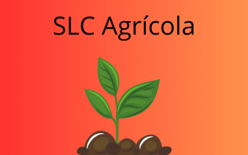 Receita da SLC Agrícola Cresce 3% no 4T24 Impulsionada pelo Algodão