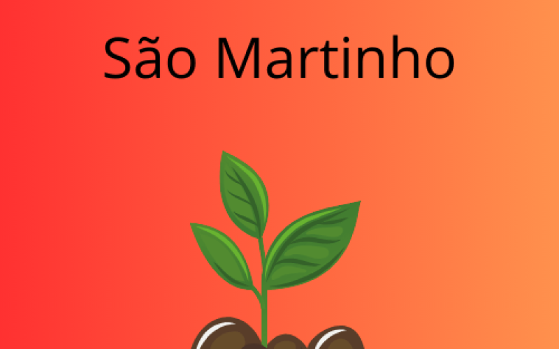 São Martinho Incêndio Atinge Unidade Iracema e Pode Reduzir Produção em Até 30% na Safra 2025/26